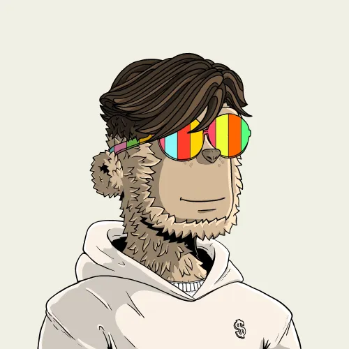 y00t #8853