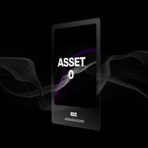 ASSET 0