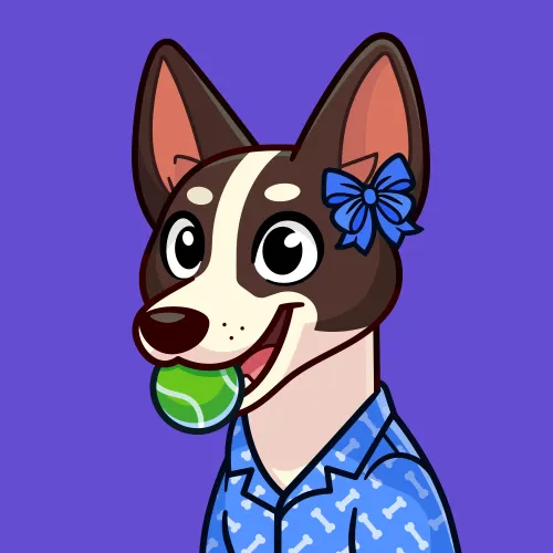 Basenji #1561