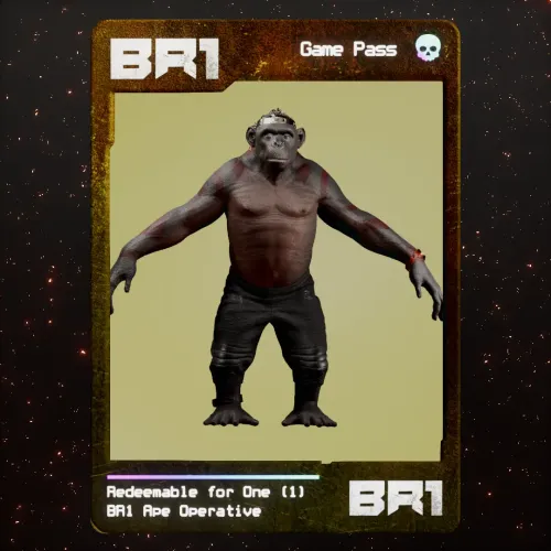 BR1 Character #1473