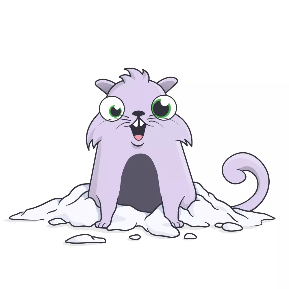 Norangi Teaheart #1056750