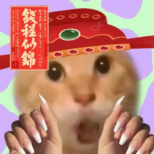 maodie the cat #4222