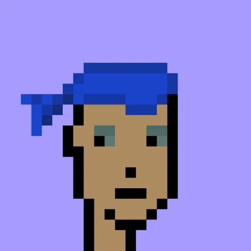 V1PUNK #9620