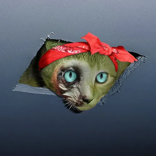 CEILING CAT #85