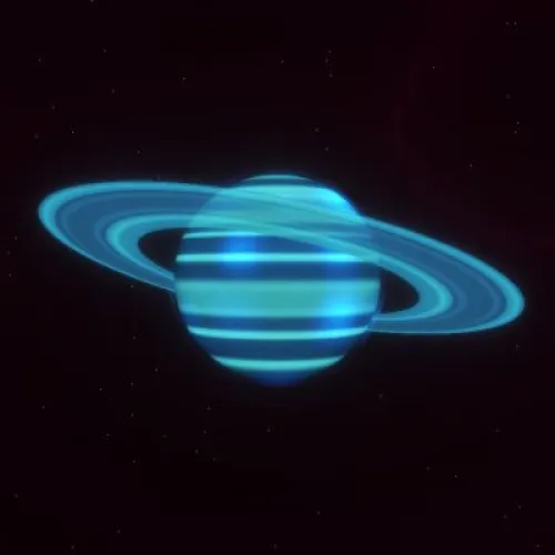 D12P1144 (#93902203)