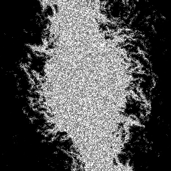 Noise #118