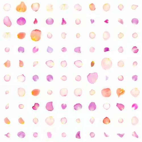 Infinite Petals 10x10#1268