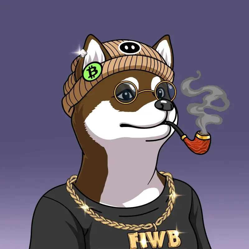 SOLDOGE #79