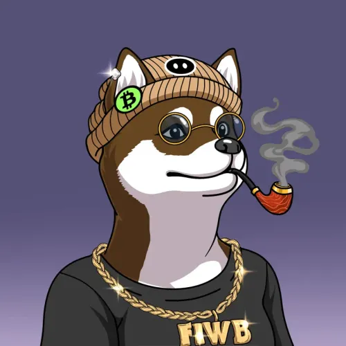 SOLDOGE #79