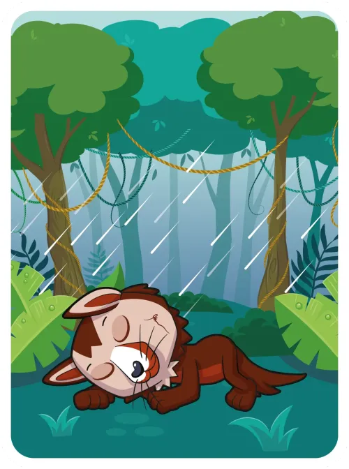 Courteous Coyote #20825