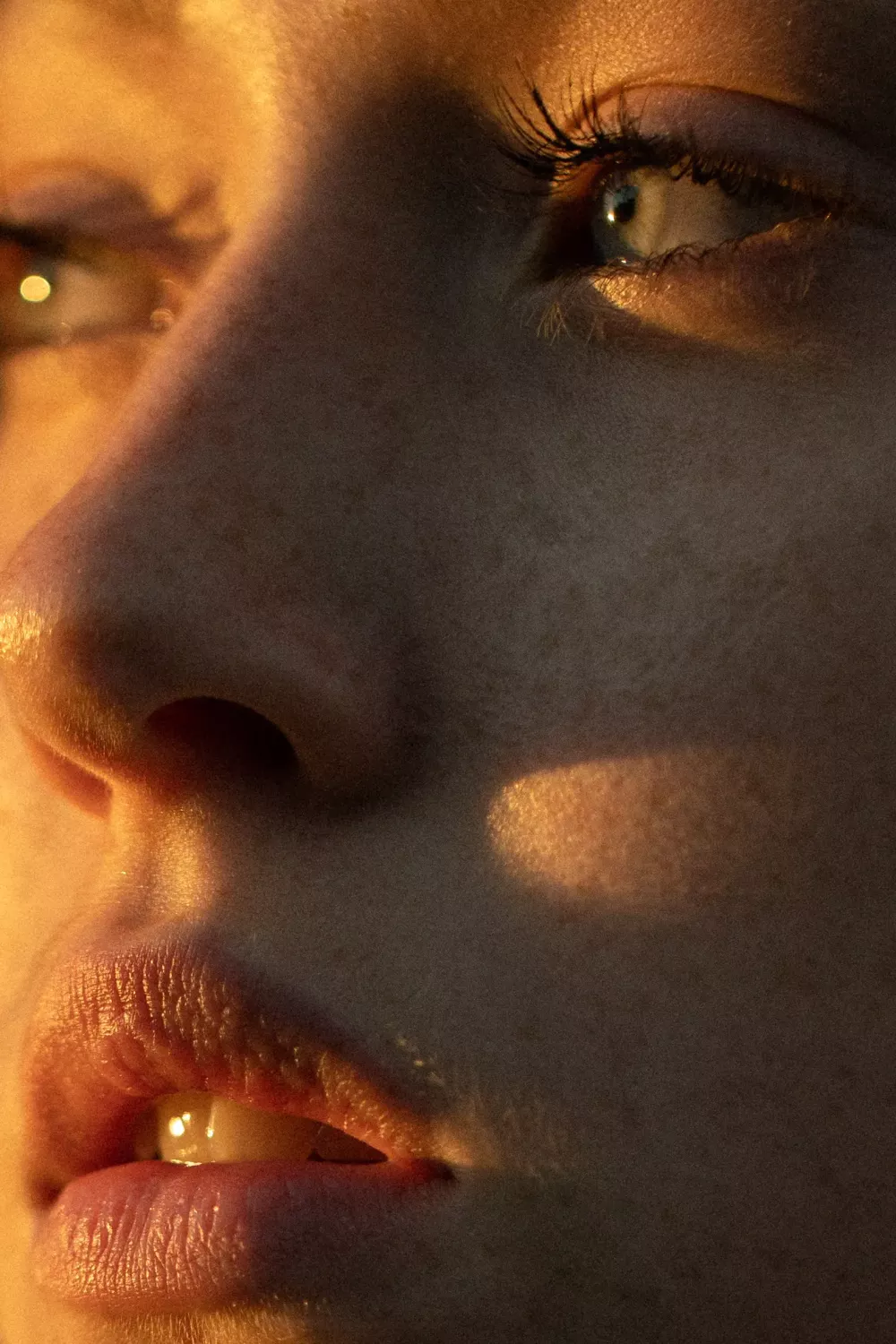 Golden hour #5