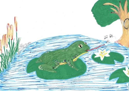 Frog on a Water Lily