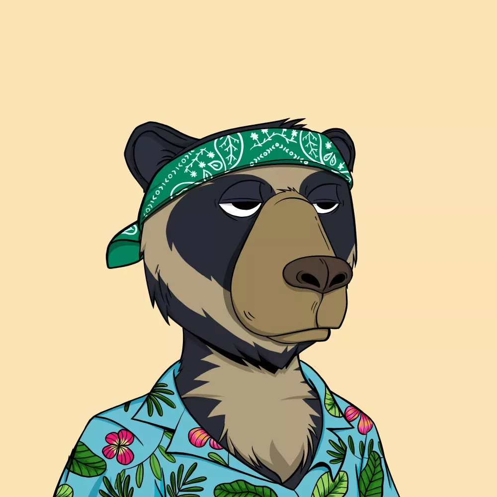 Okay Bear #3857