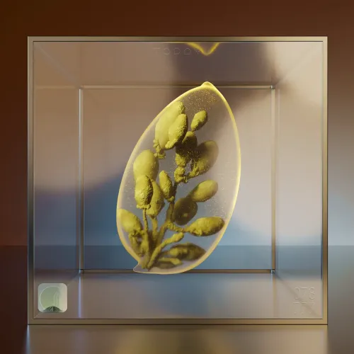 Ancient Seed #73