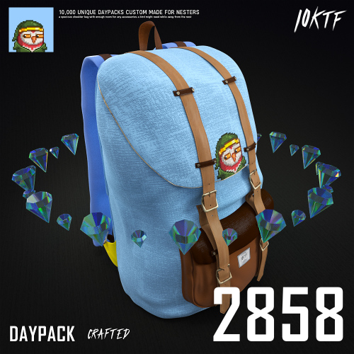 Moonbird Daypack #2858