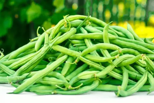 Green bean (French bean) #96