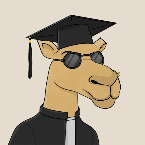 Camel #1685