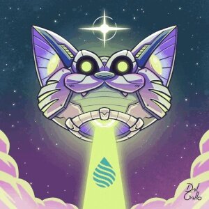 First Contact