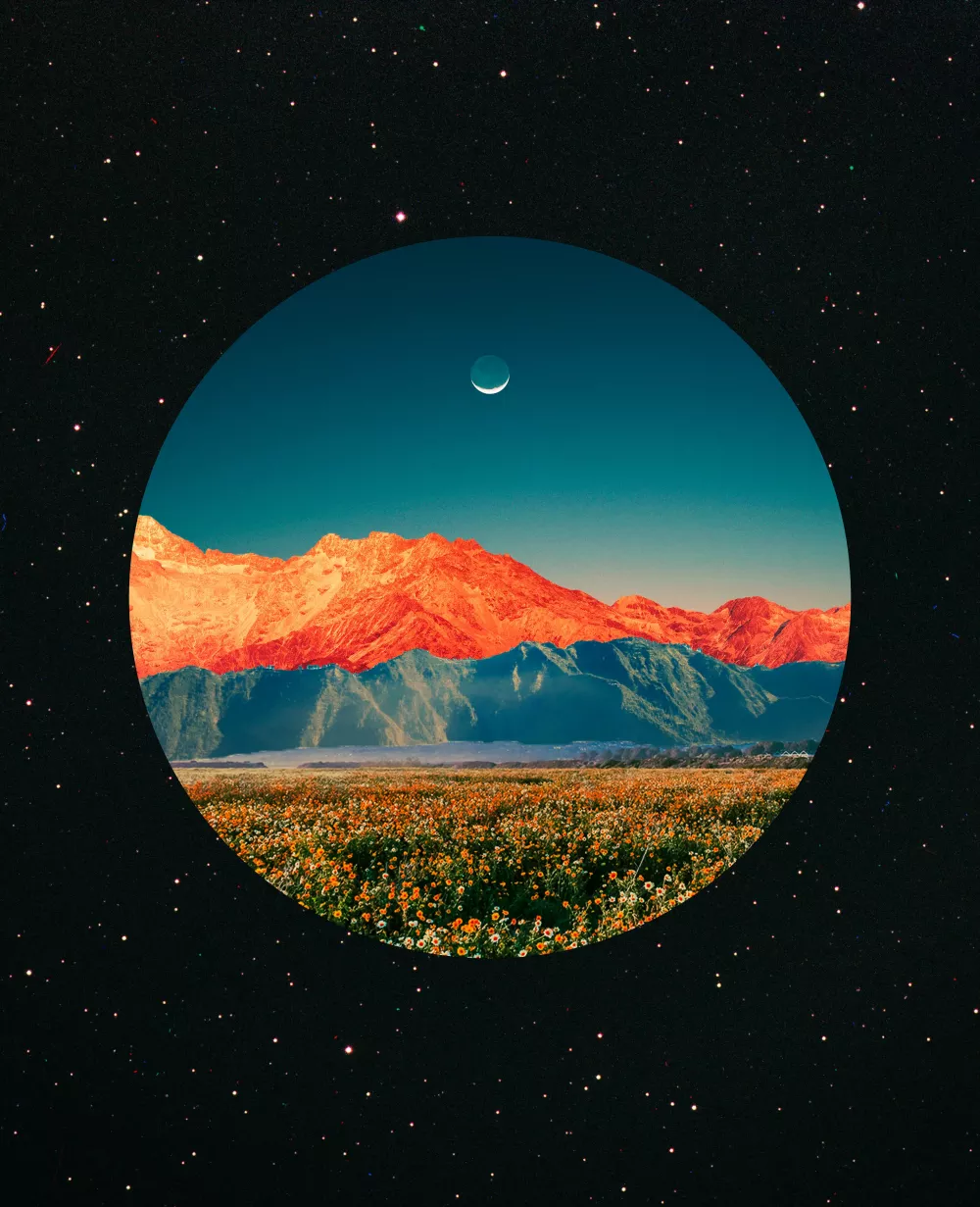 OrangeValley,2022 #1