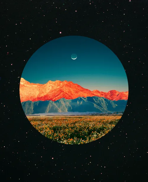 OrangeValley,2022 #1