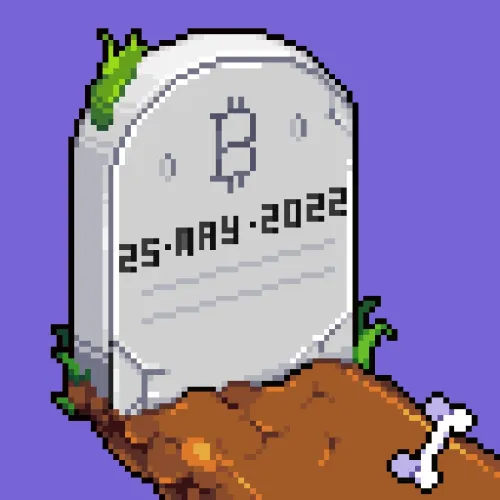 Bitcoin Burial ＃459 （Inscription ＃9483010）