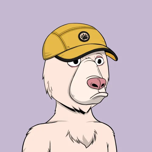 Okay Bear #3847