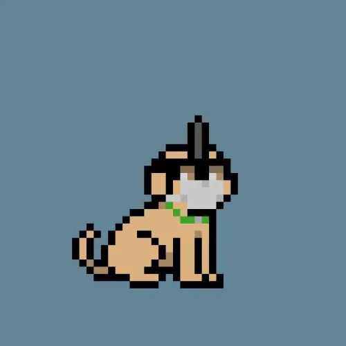 PUPZ #164