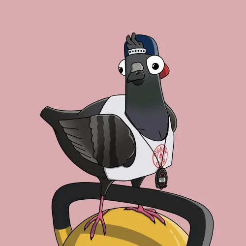 Trainer Pigeon #2