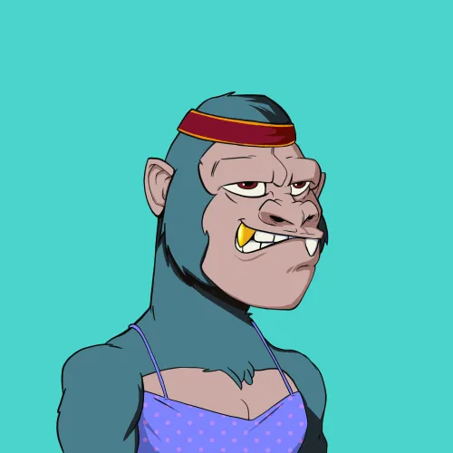 Kong #8497