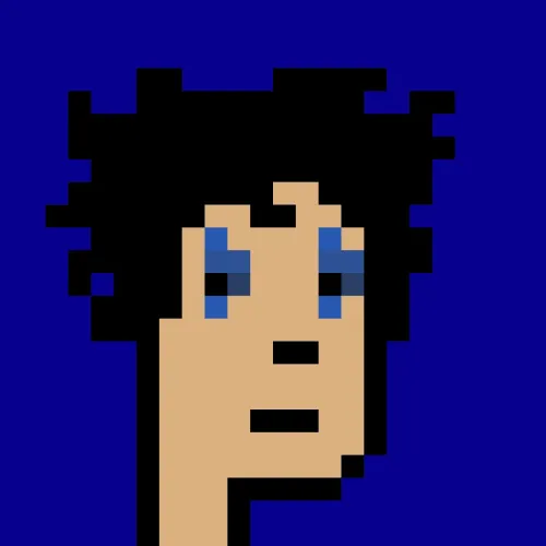BRC 2.0 PUNK #8336 (#100772490)