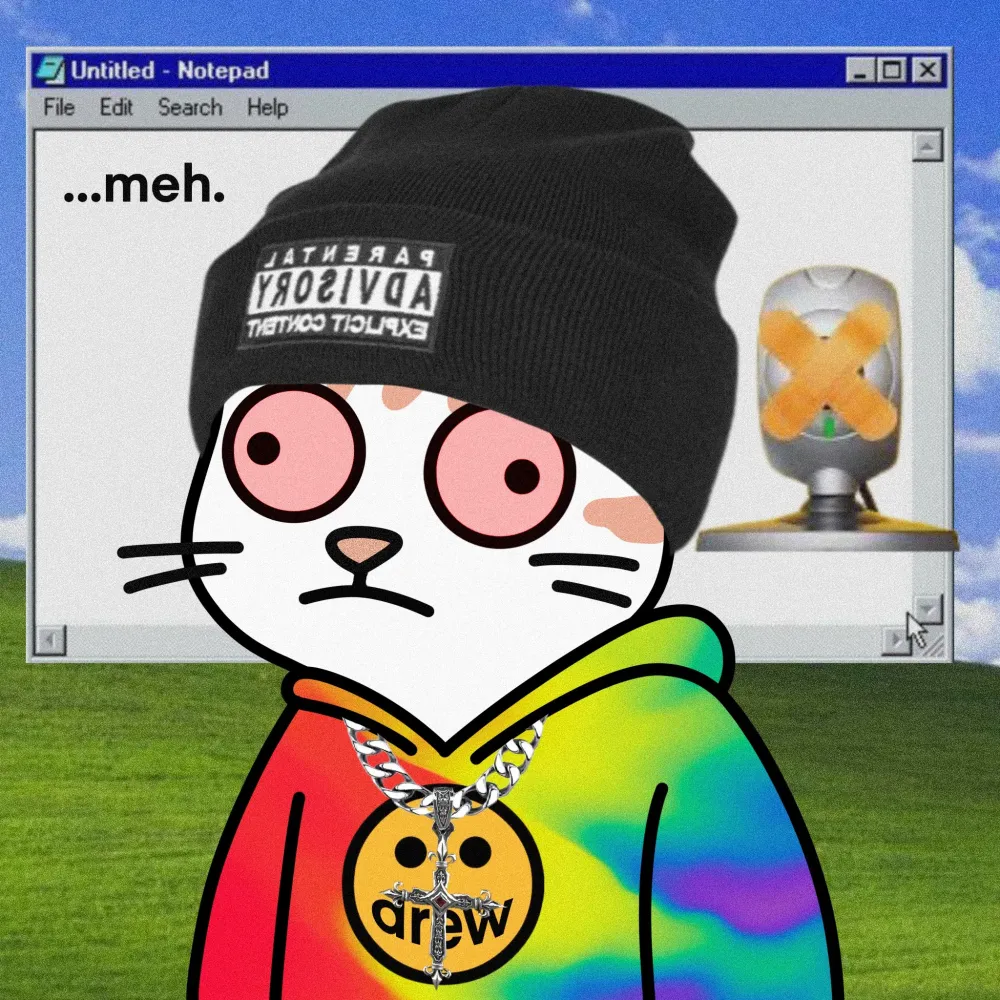 MS CATS #8