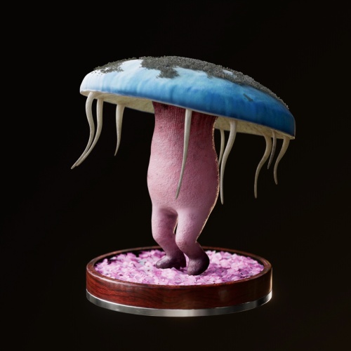 Fungi #7636