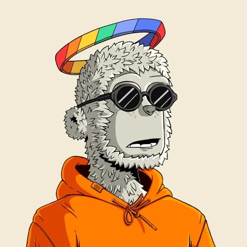 y00t #14778