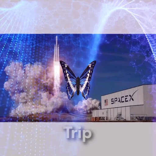Trip