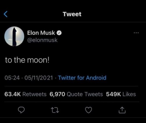 elon #28313