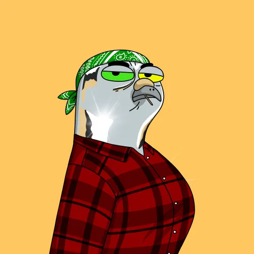 GutterPigeon #458