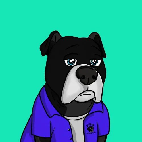 Vito #901