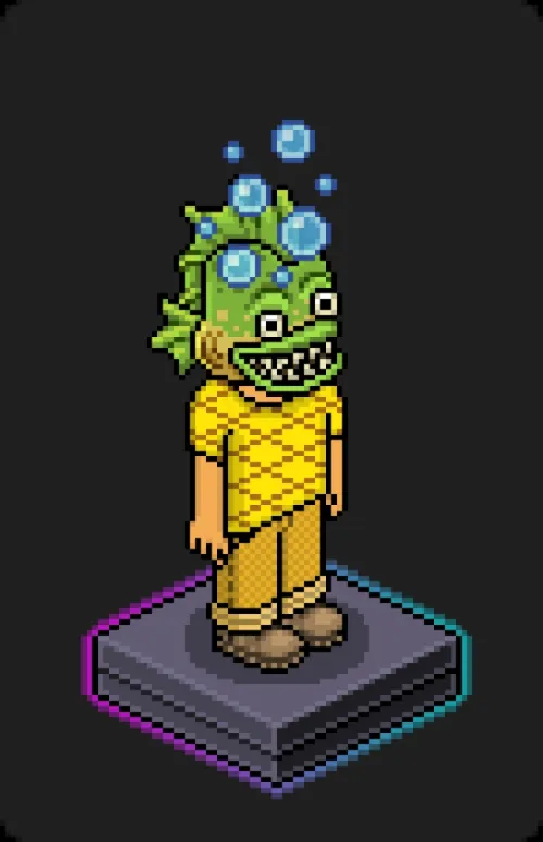 Habbo Crafted Avatar #2045