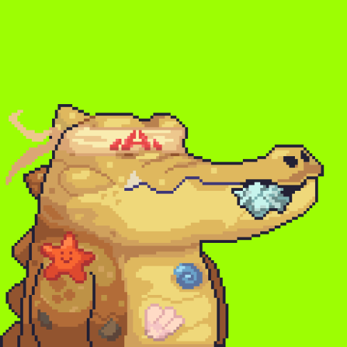 Croc #8182