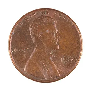 #65895035