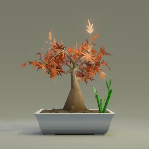 Bonsai #5241