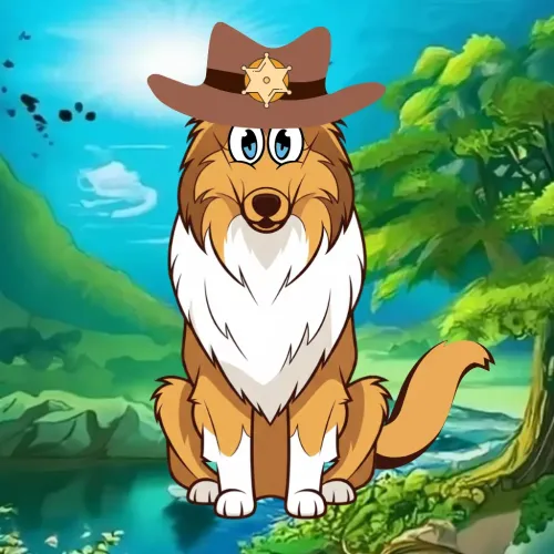 Collie 1