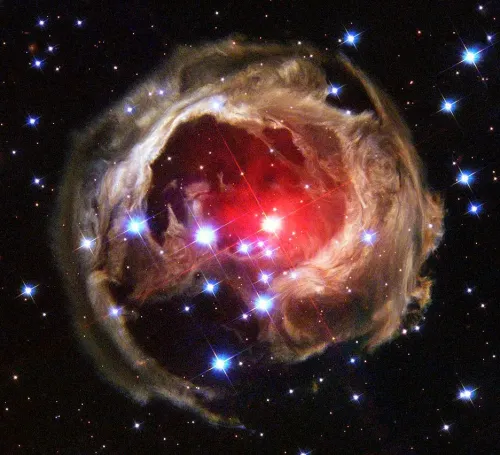 V838 Monocerotis #427