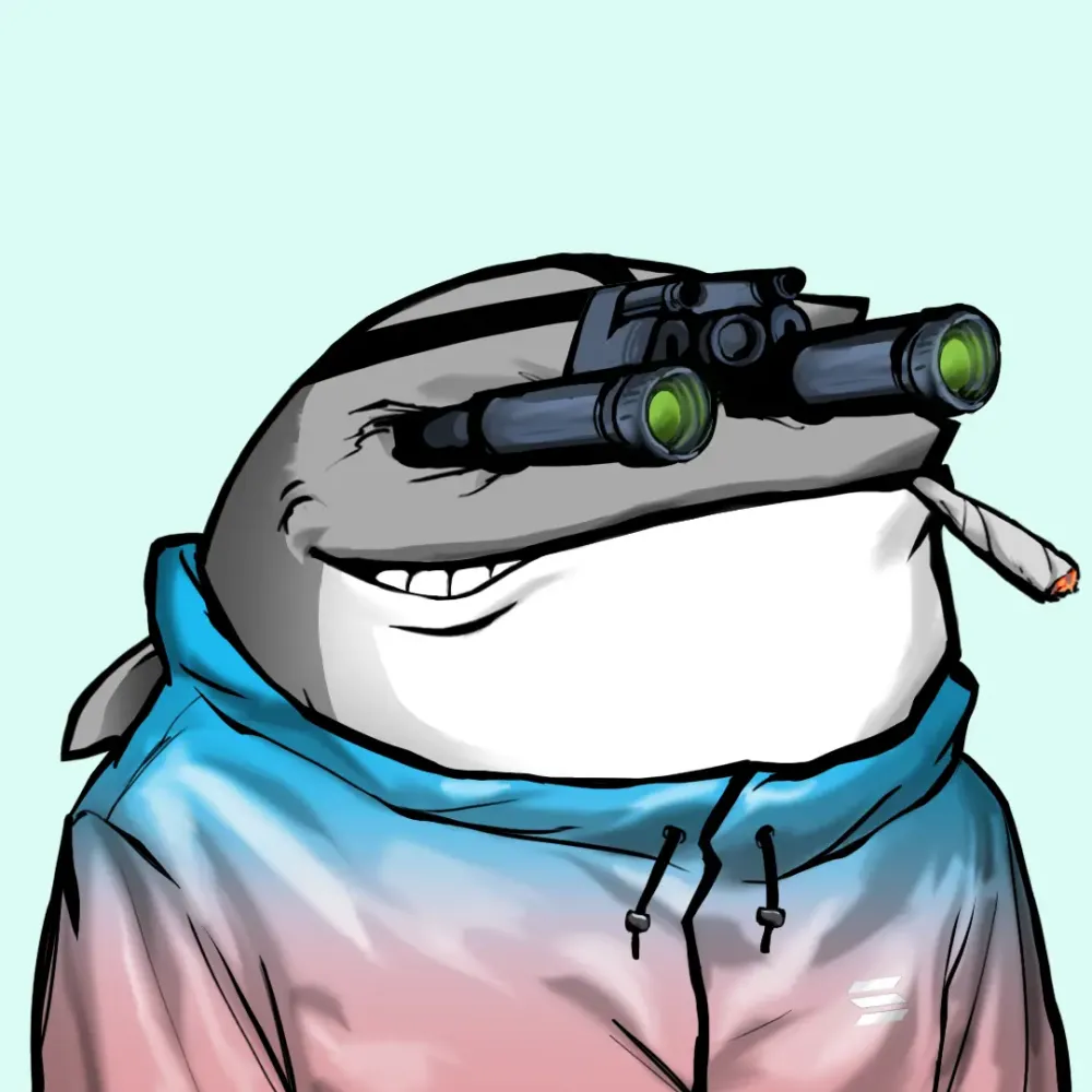 Whale 97