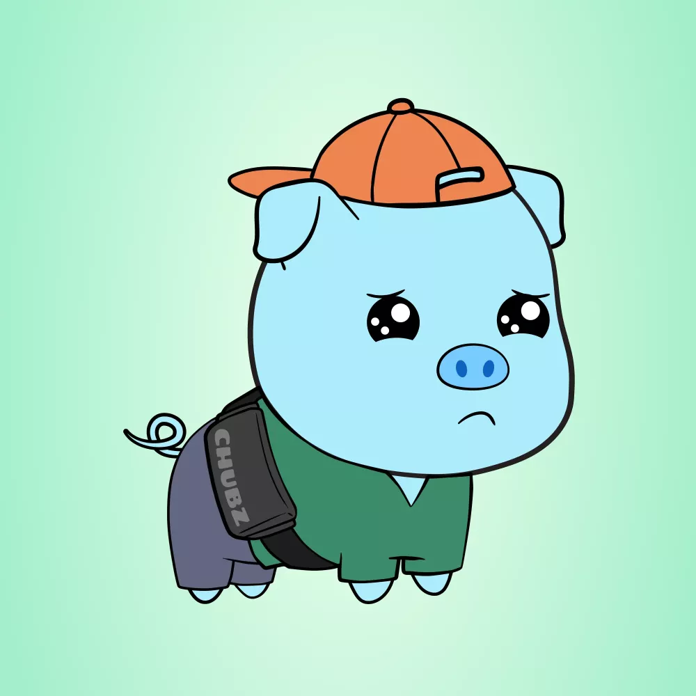 Chubbipig #2637