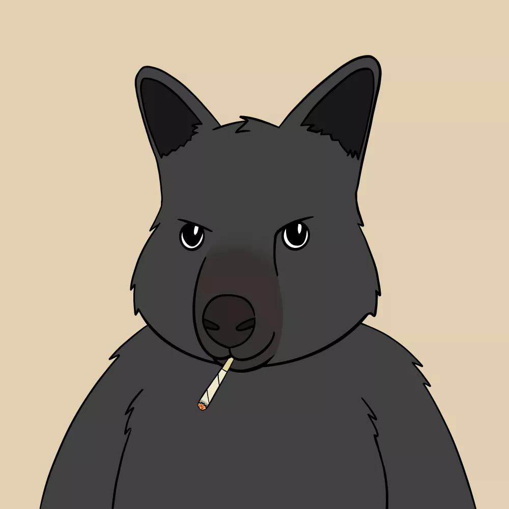 Roo #3794