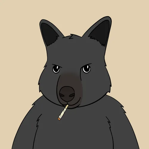 Roo #3794