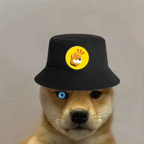 Dogwifhat #250