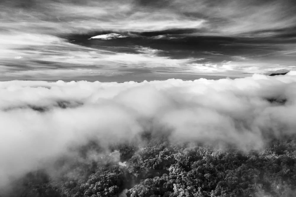 Amazonia - Sebastiao Salgado #4698