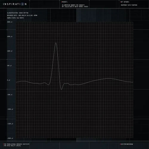 HEARTBEAT DATA PAINTING #920